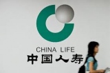    China Life  2012 .    40% 
